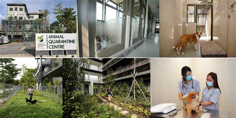 bureau of quarantine magalang facility photos|Provincial Quarantine Stations .